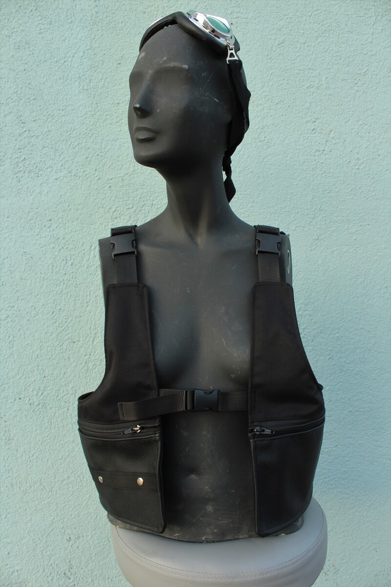 CHALRIÑO PANDEMIC MOD 3 - Imagen 3